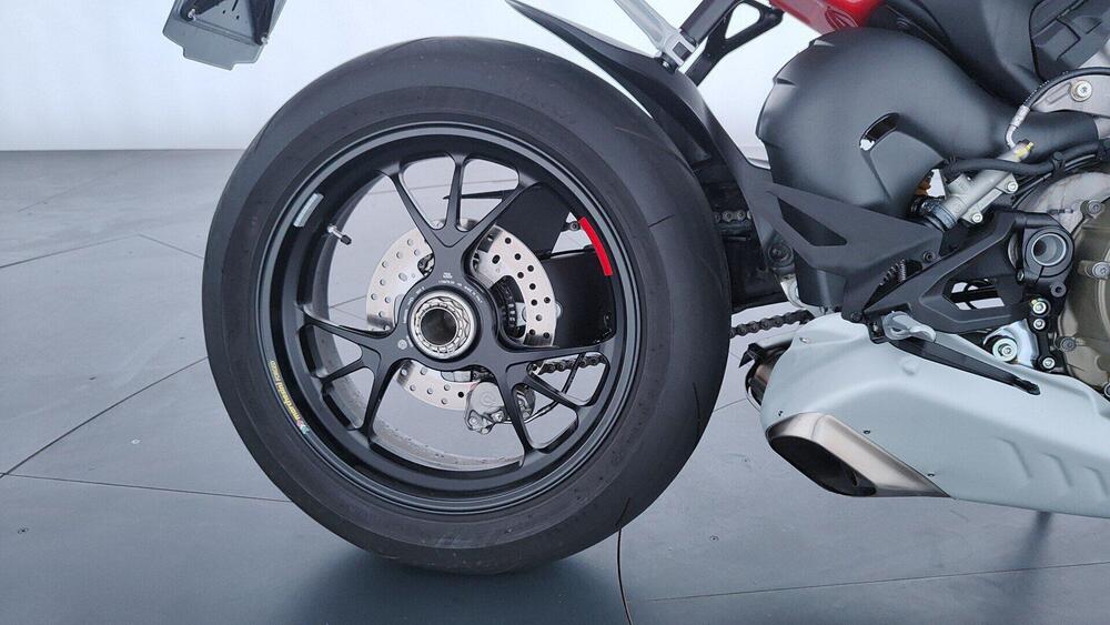 Ducati Streetfighter V4 S (2023 - 24) (15)