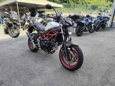 Suzuki SV650 (2021 - 24) usata