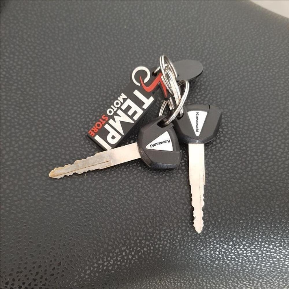 Kawasaki Z 900 Performance (2019) (11)