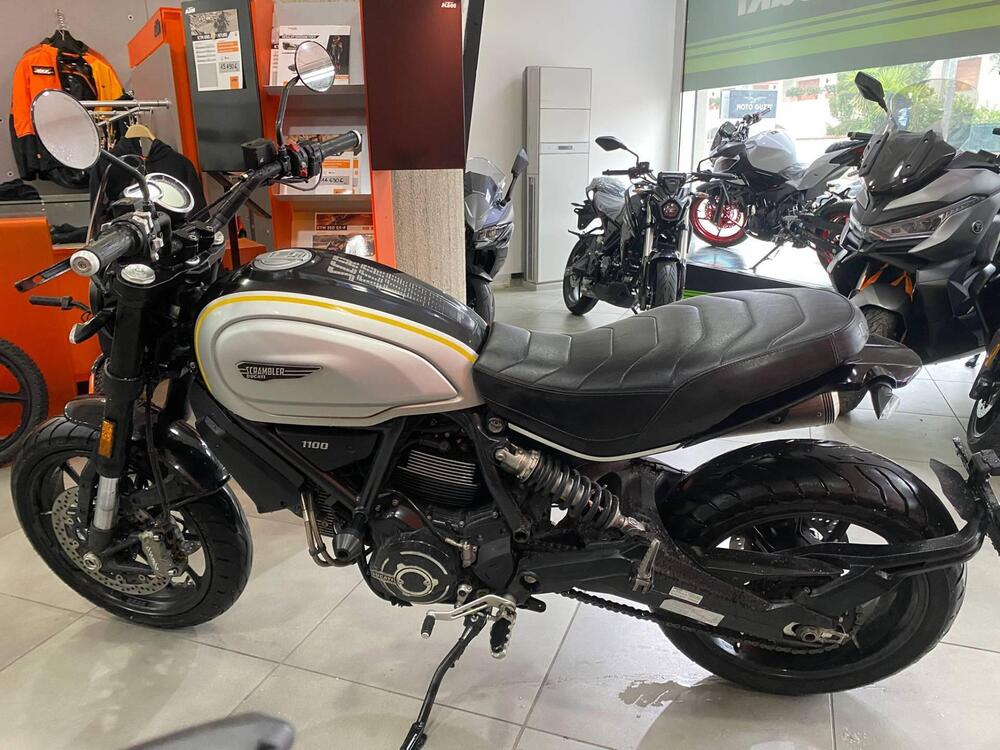 Ducati Scrambler 1100 (2018 - 20) (2)