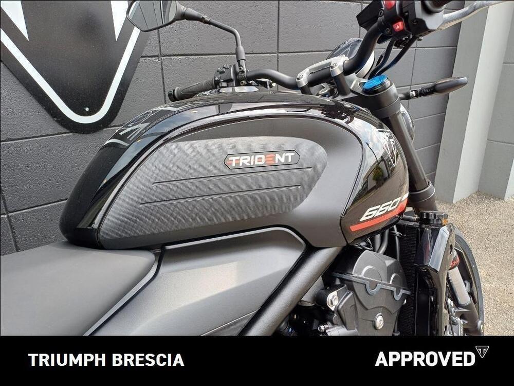 Triumph Trident 660 (2025) (5)