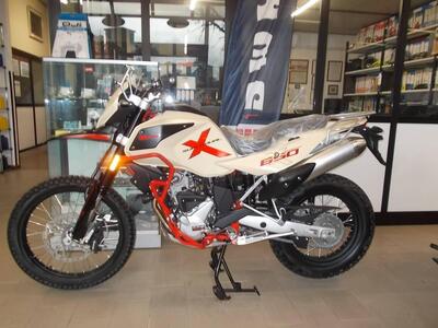 Swm Superdual 600 X (2025 - 26) nuova