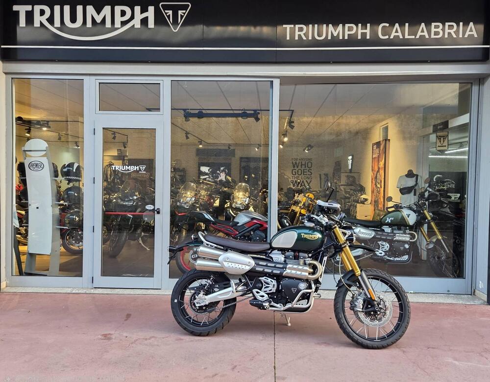 Triumph Scrambler 1200 Steve McQueen Edition (2021 - 22) (3)