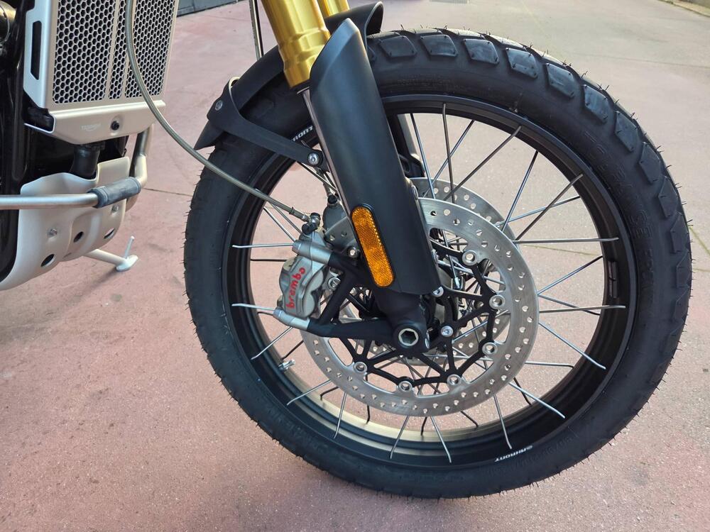 Triumph Scrambler 1200 Steve McQueen Edition (2021 - 22) (15)