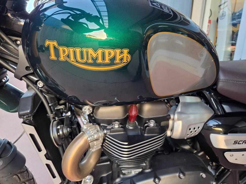 Triumph Scrambler 1200 Steve McQueen Edition (2021 - 22) (16)
