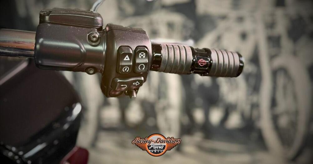 Harley-Davidson Road Glide Special (2021 - 23) (4)