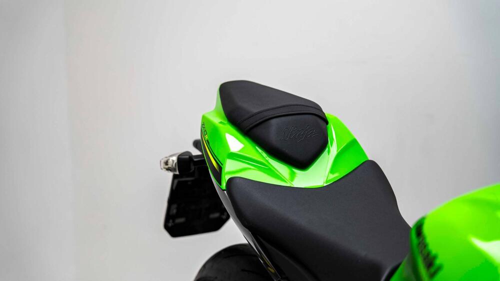 Kawasaki Ninja 1000 ZX-10R (2017 - 18) (10)