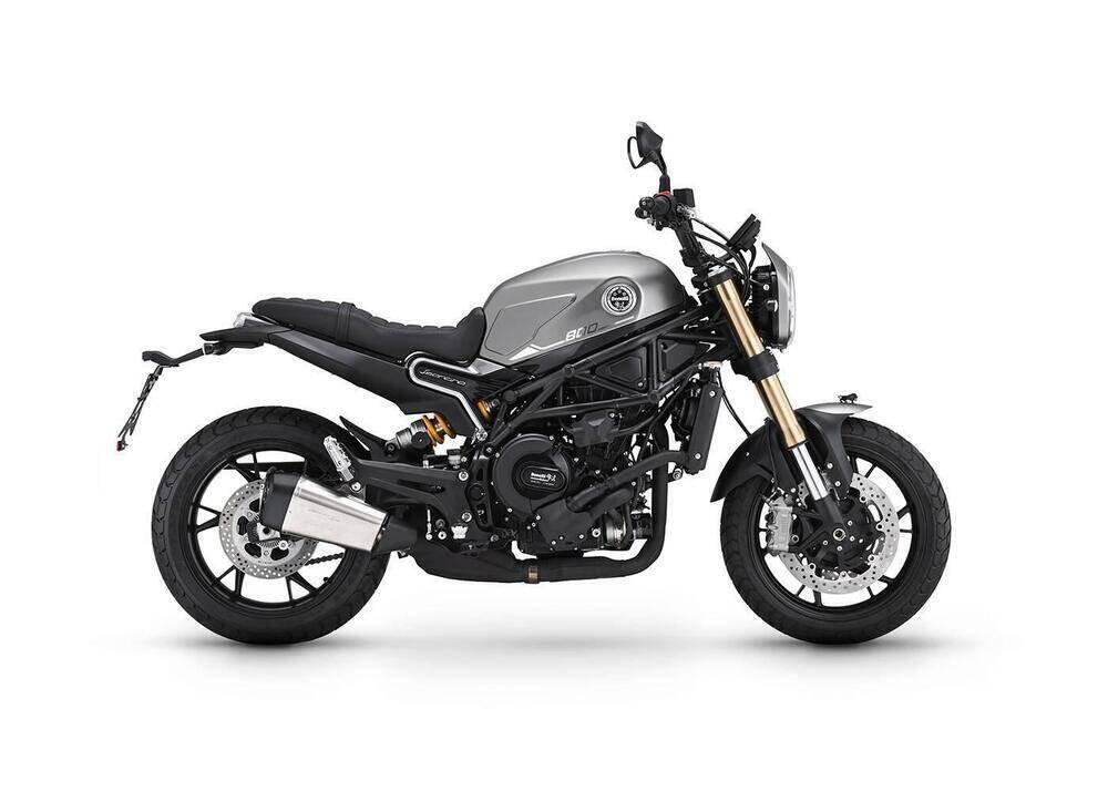 Benelli Leoncino 800 (2022 - 26)