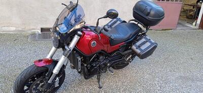 Benelli Leoncino 500 (2021 - 25) usata