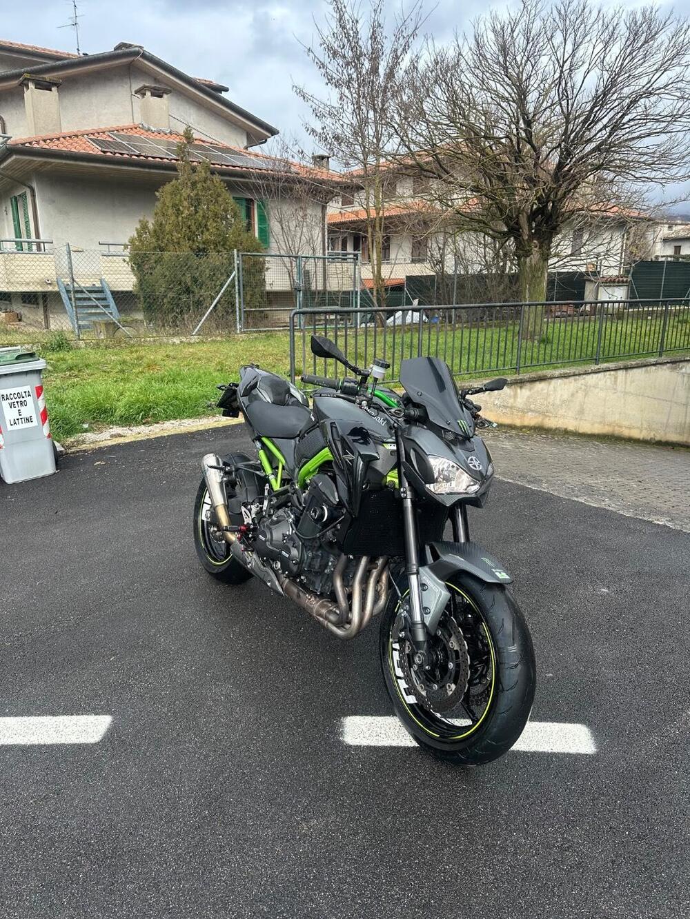 Kawasaki Z 900 Performance (2019) (2)