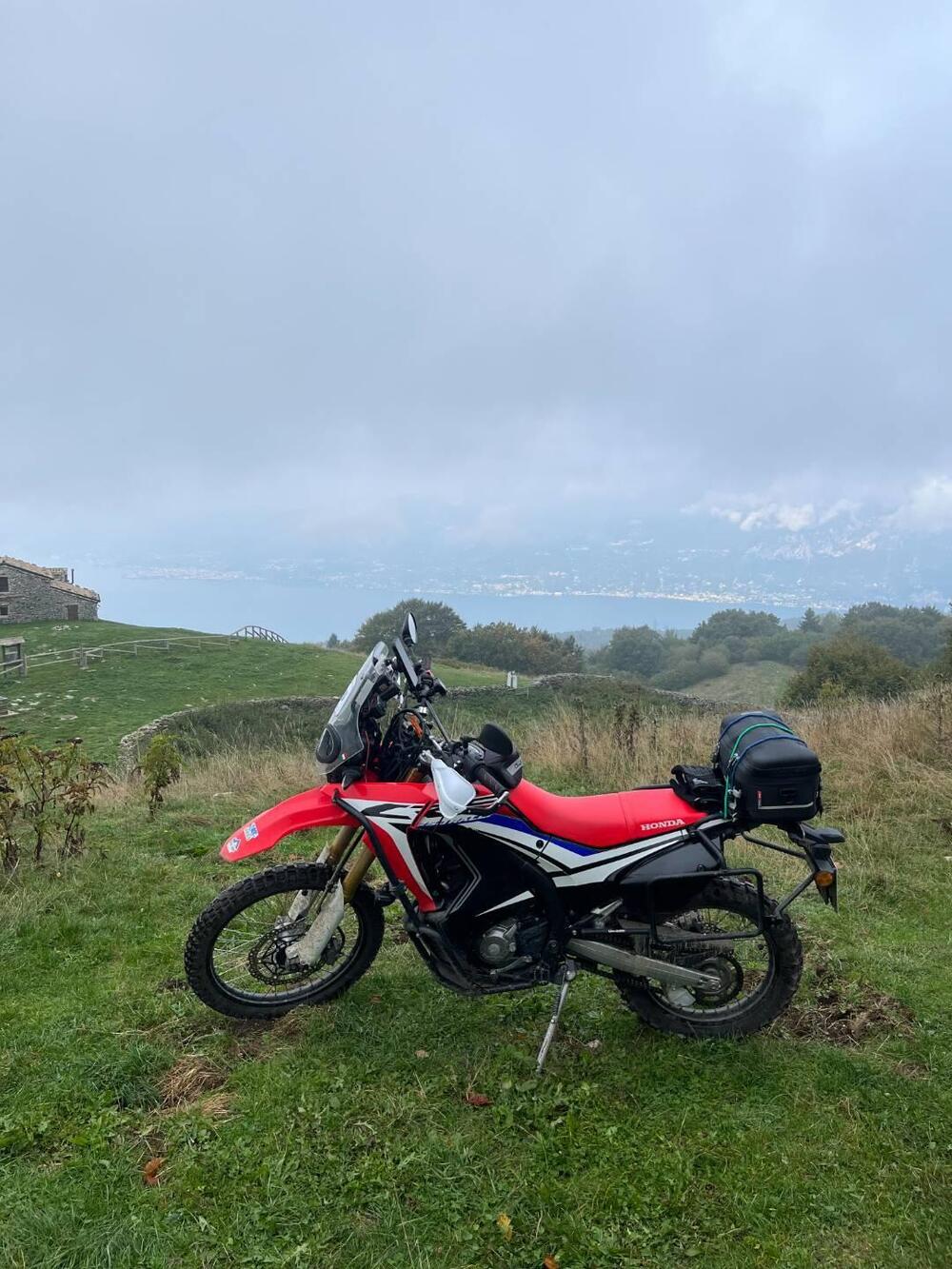 Honda CRF 250 Rally (2017 - 20) (5)