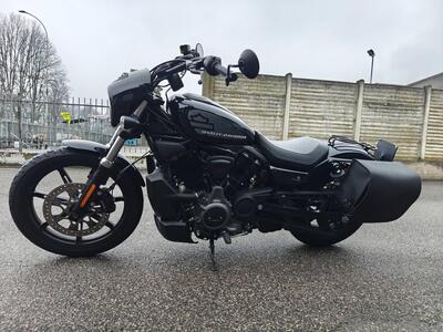 Harley-Davidson Nightster (2023 - 26) usata
