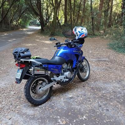 Honda Transalp XL 650V (2000 - 04) usata