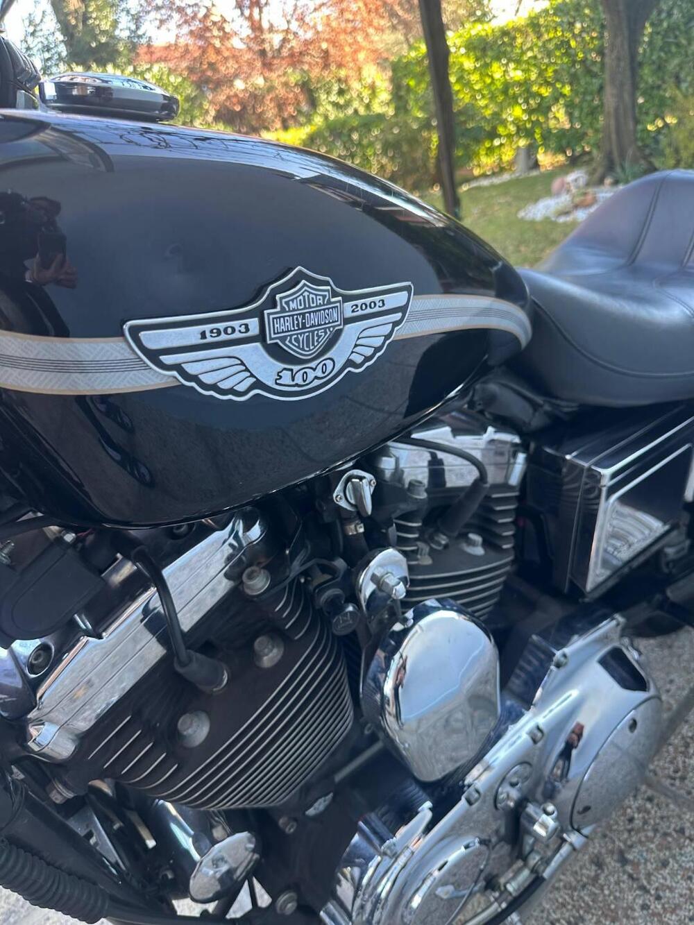 Harley-Davidson 1200 Custom (2001 - 03) - XL 1200C (3)