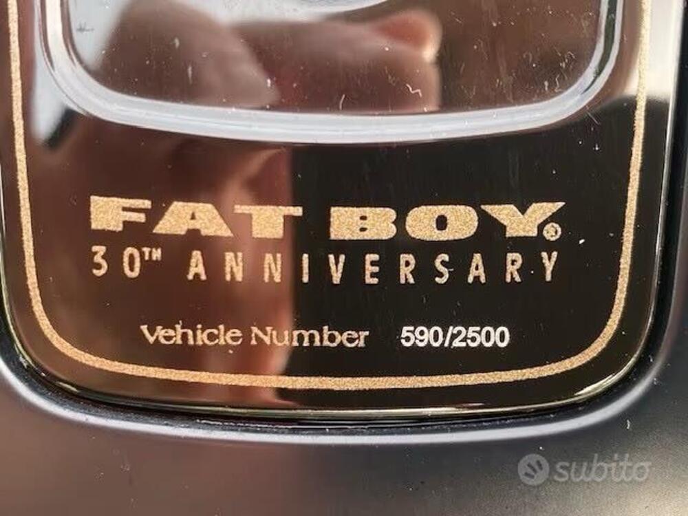 Harley-Davidson 114 Fat Boy (2018 - 20) - FLFBS (8)