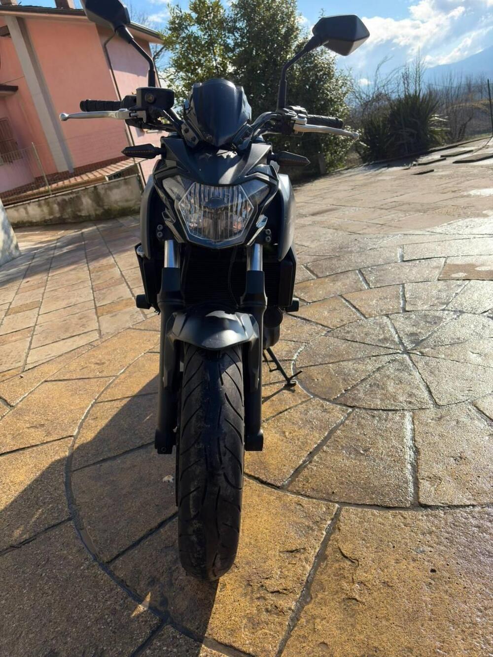 Kawasaki Z 650 (2017 - 19) (6)