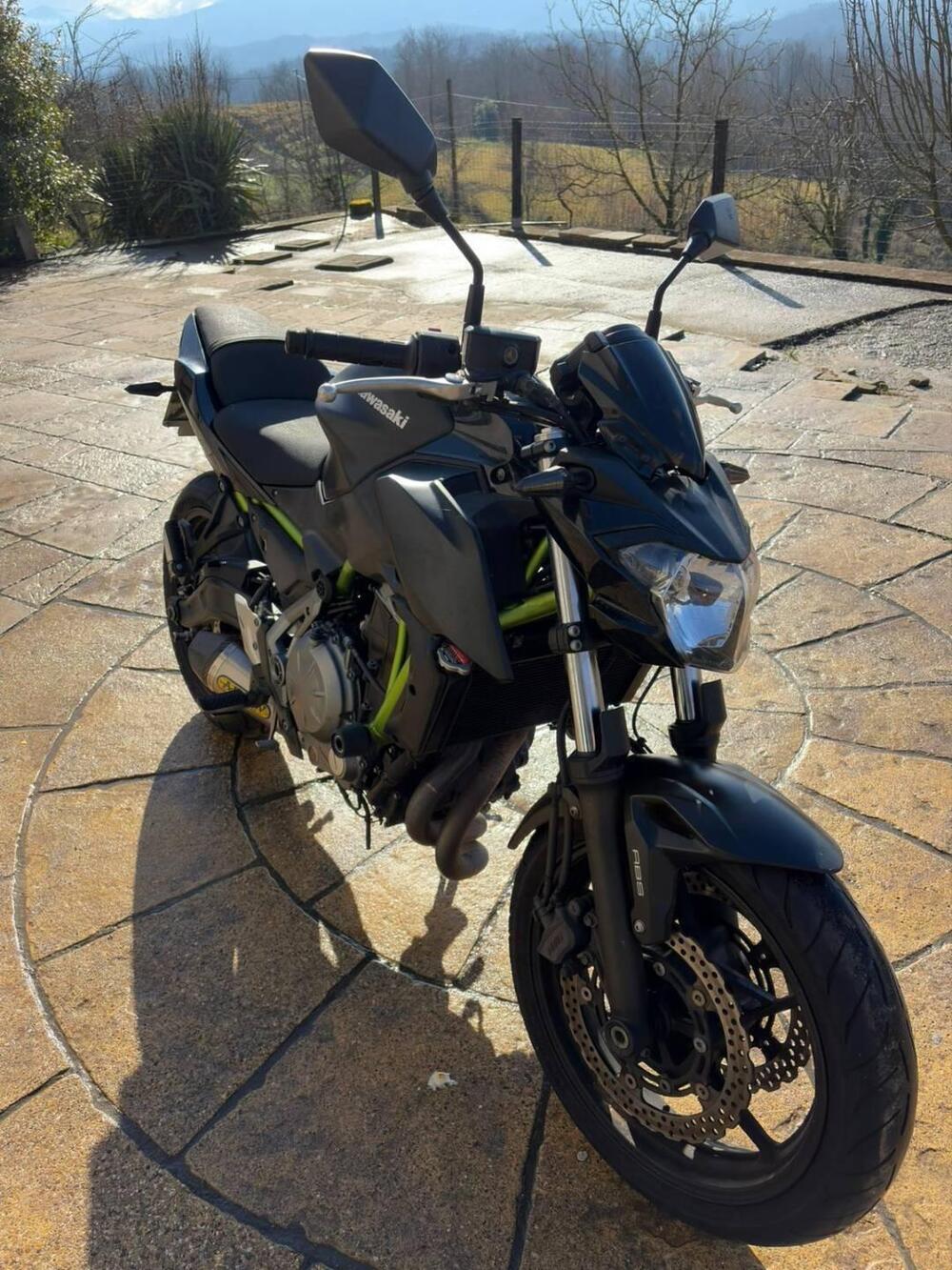 Kawasaki Z 650 (2017 - 19) (7)