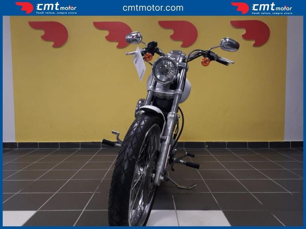 Harley-Davidson 883 Custom (2008 - 12) - XL 883C (2)