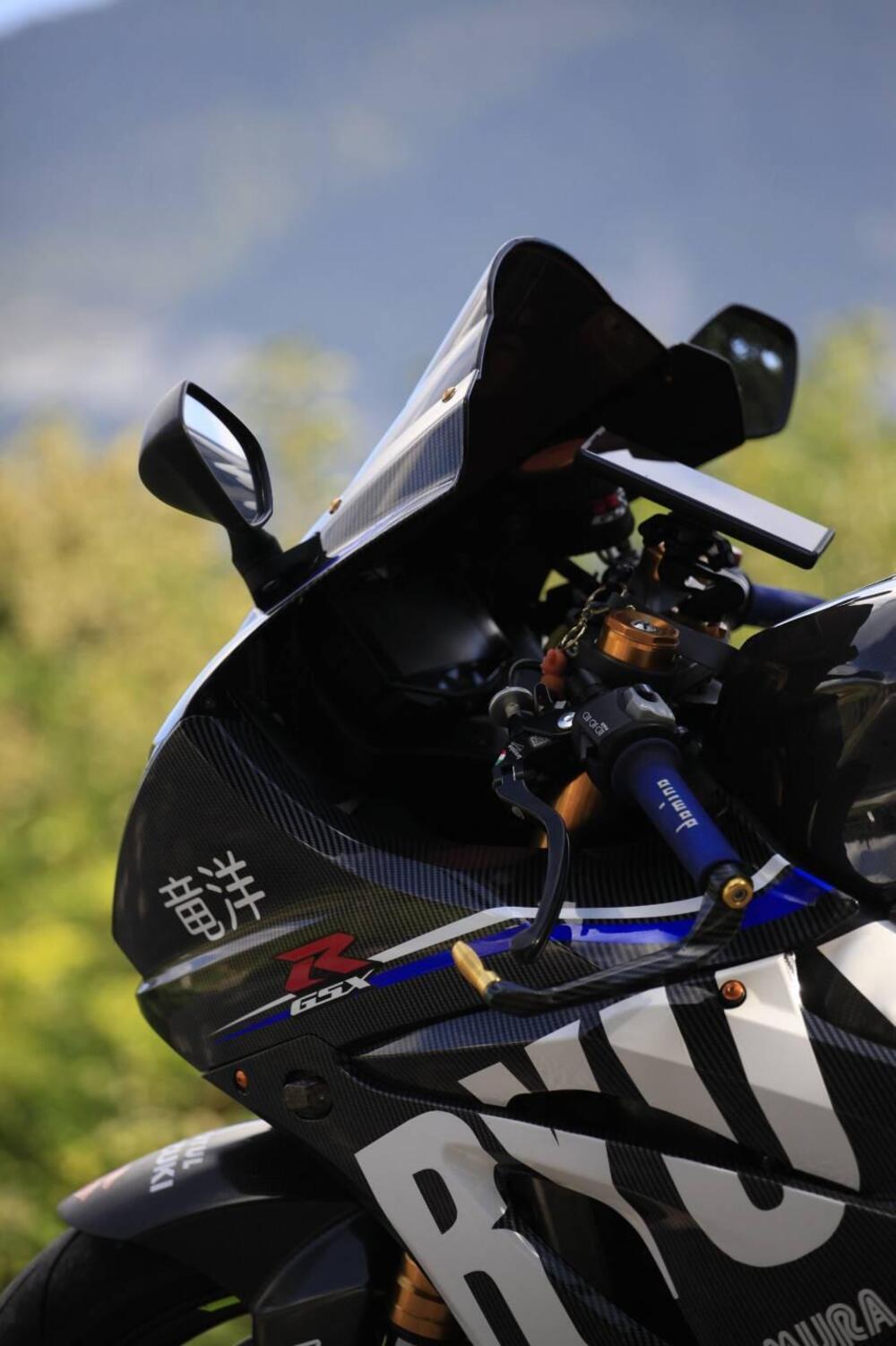 Suzuki GSX-R1000R (2017 - 18) (14)