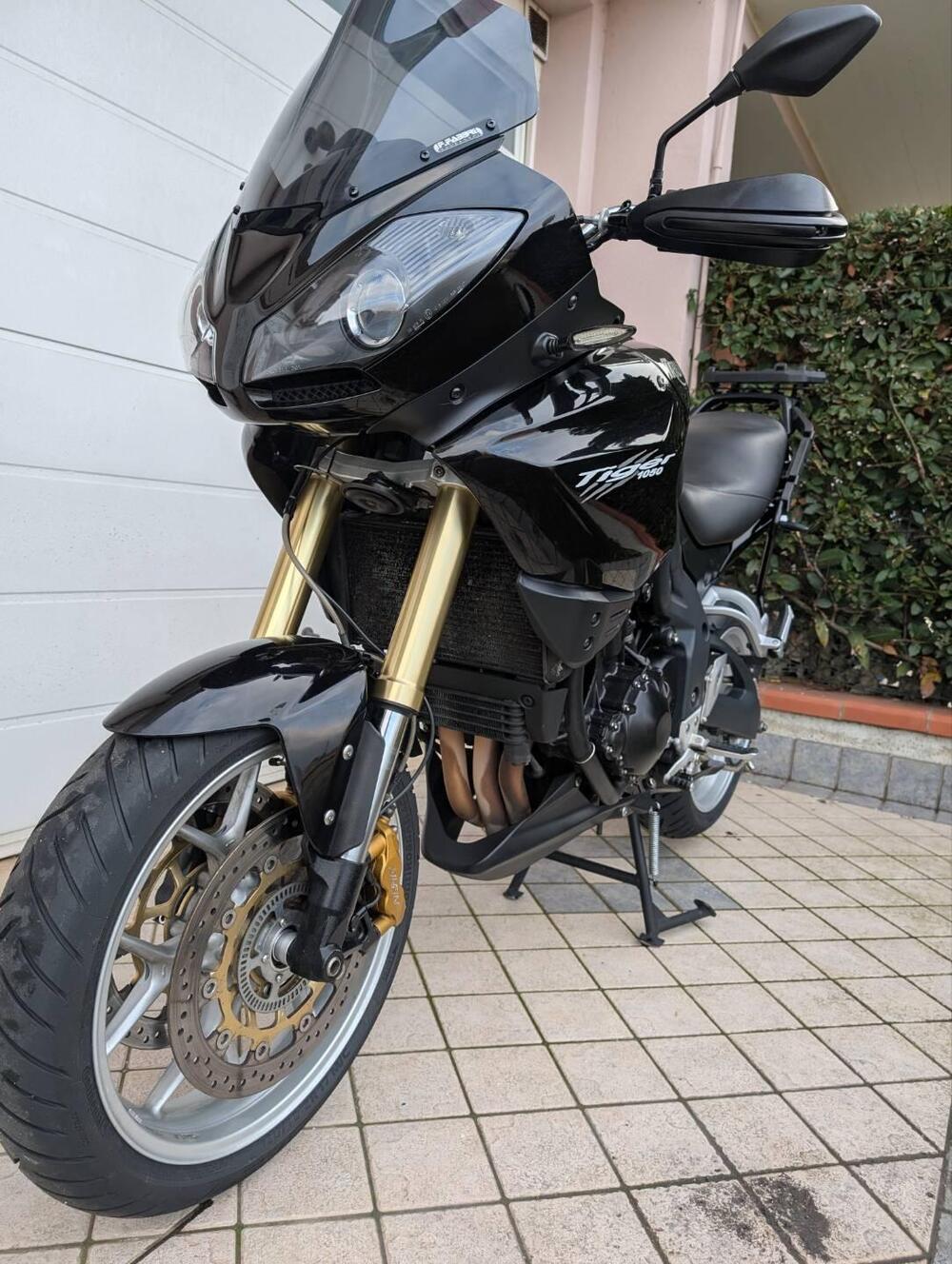 Triumph Tiger 1050 SE ABS (2006 - 13) (9)