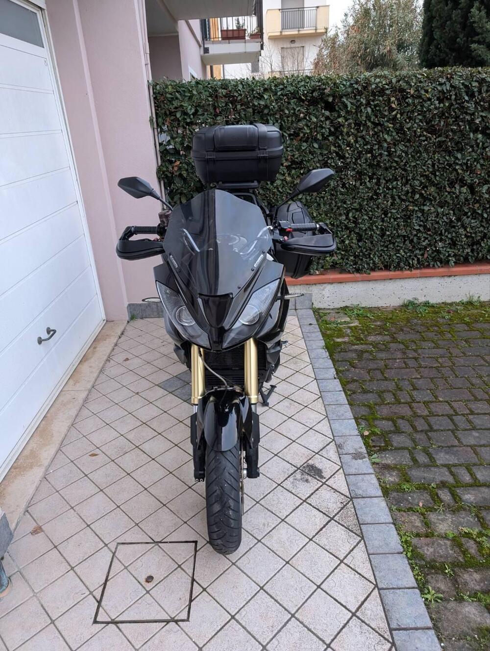 Triumph Tiger 1050 SE ABS (2006 - 13) (13)