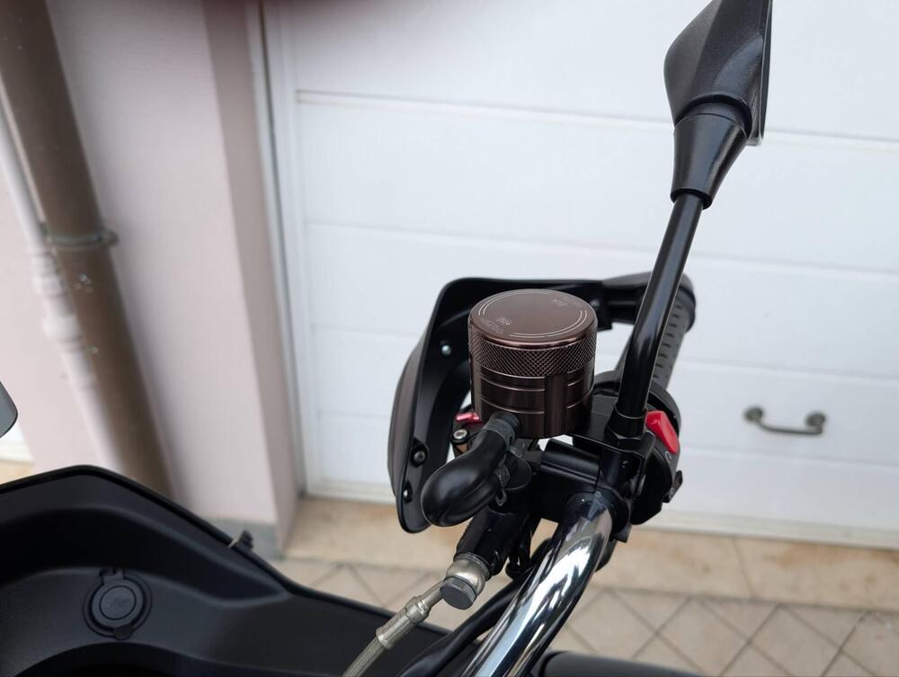 Triumph Tiger 1050 SE ABS (2006 - 13) (16)