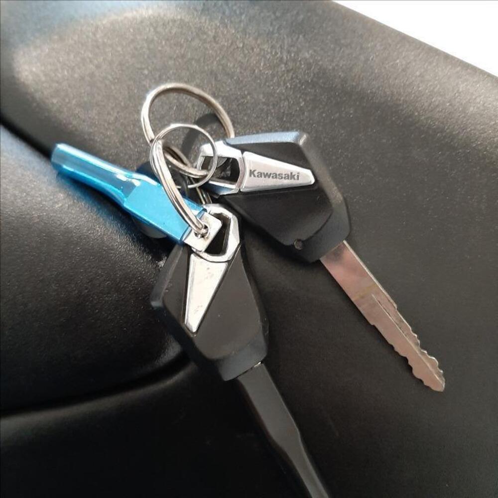 Kawasaki Z 1000 R (2017 - 20) (12)