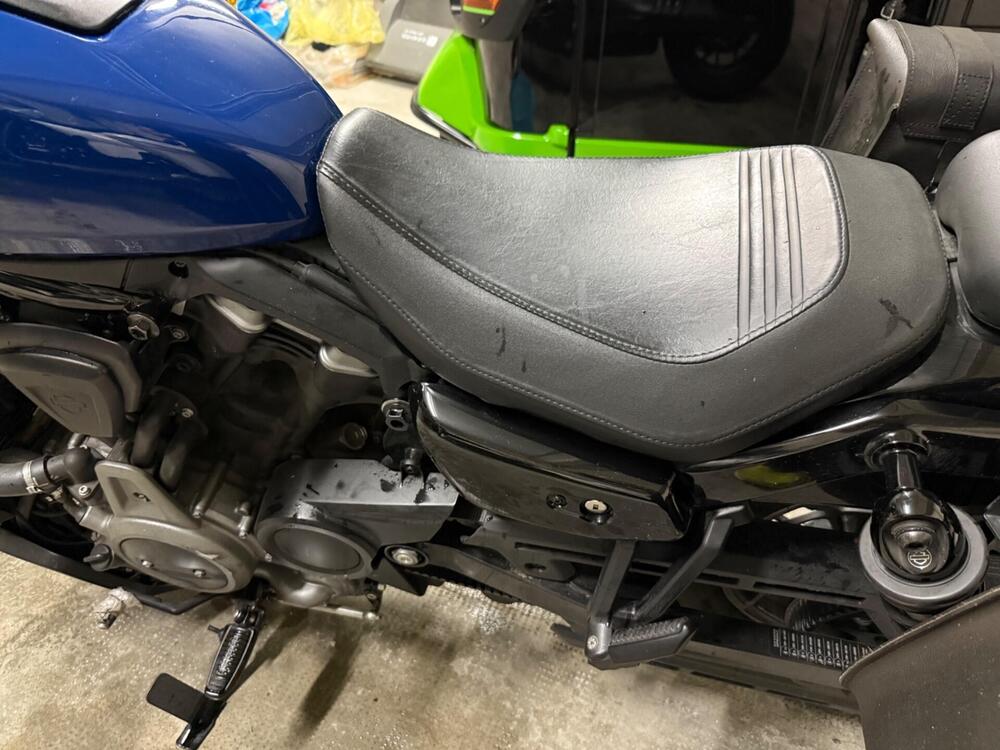 Harley-Davidson Nightster Special (2023 - 26) (5)