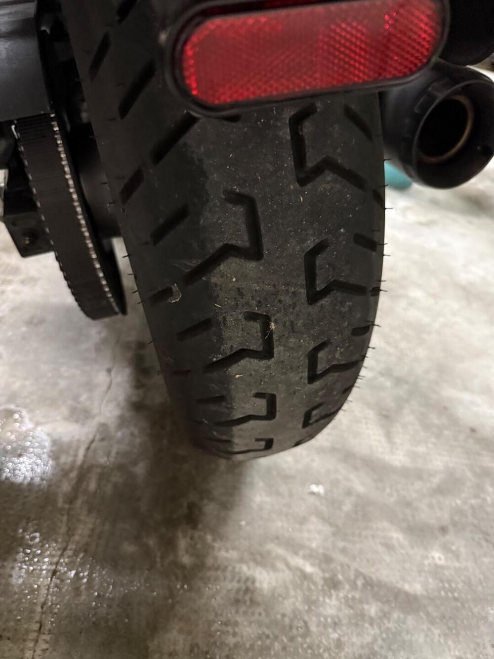 Harley-Davidson Nightster Special (2023 - 26) (7)