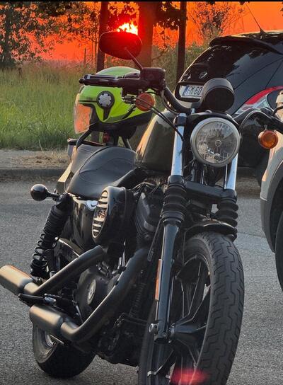 Harley-Davidson 883 Iron (2017 - 20) - XL 883N usata