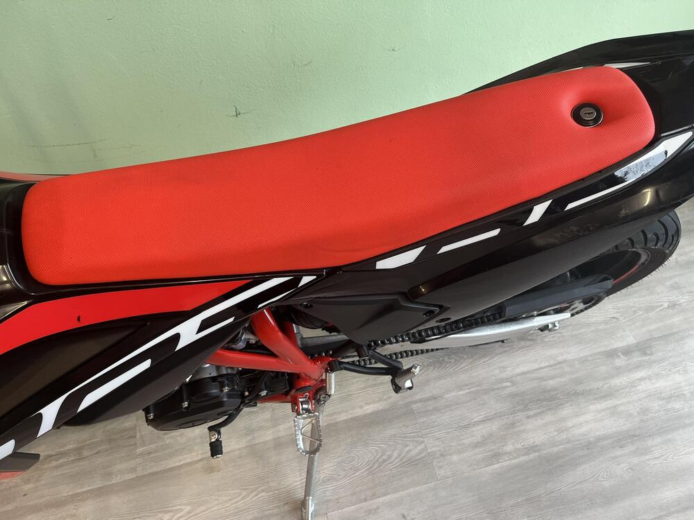 Betamotor RR 125 4T Motard T (2023 - 24) (7)