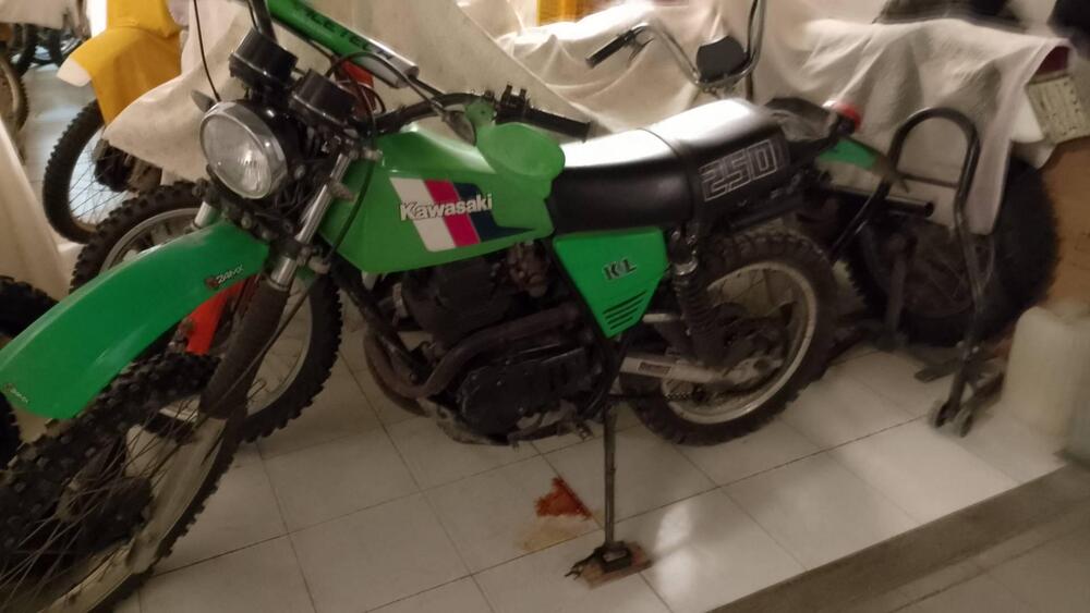 Kawasaki KL 250 1981 (2)