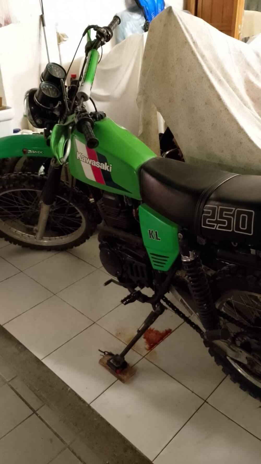 Kawasaki KL 250 1981 (3)