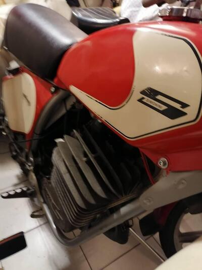 Simonini SIMONINI LONG RANGE 6 M d'epoca