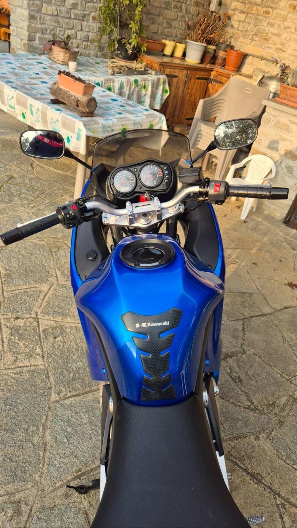 Kawasaki ER-6F (2006 - 08) (7)