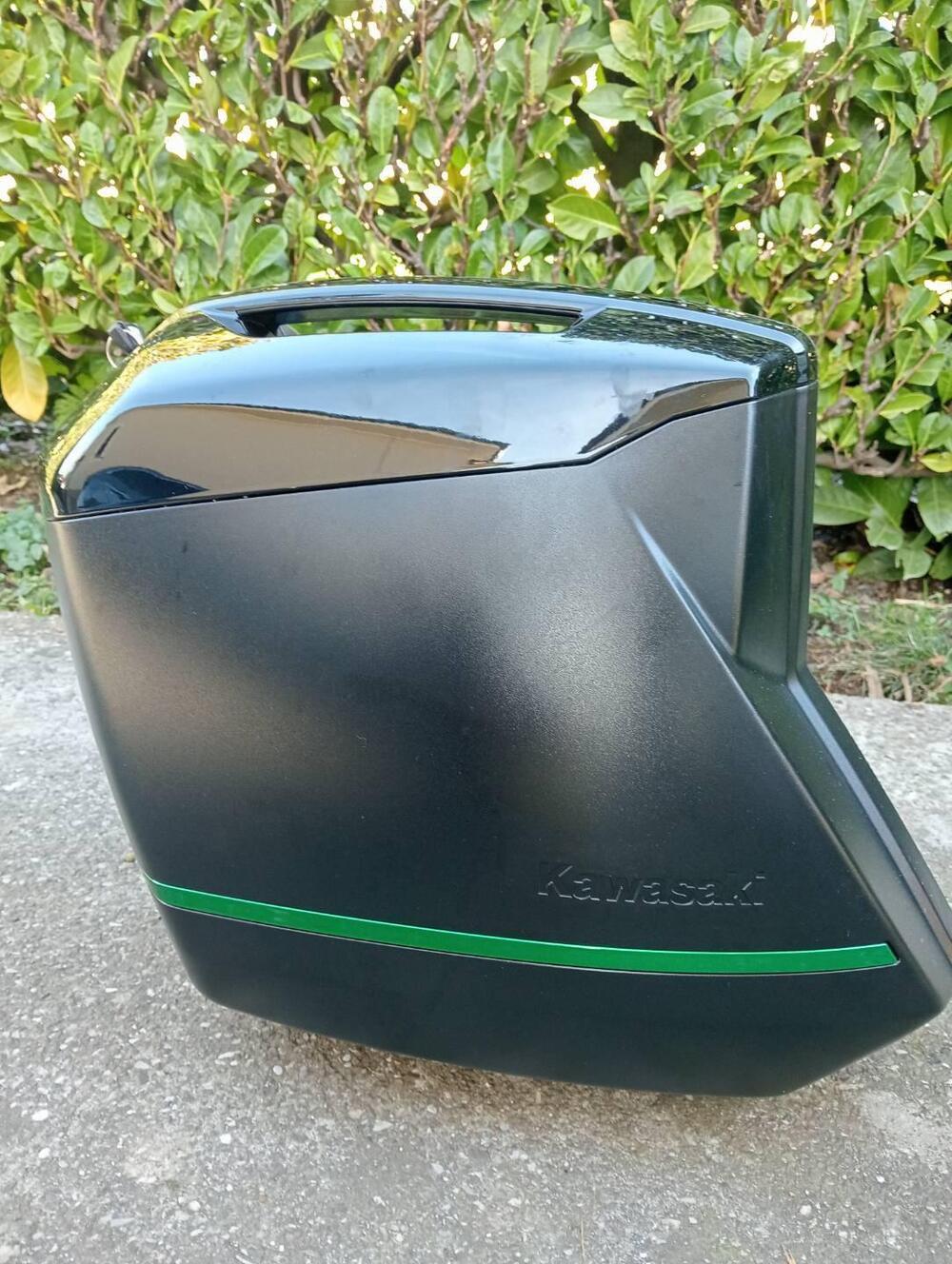 Kawasaki Ninja 1000 SX Performance (2021 - 24) (4)