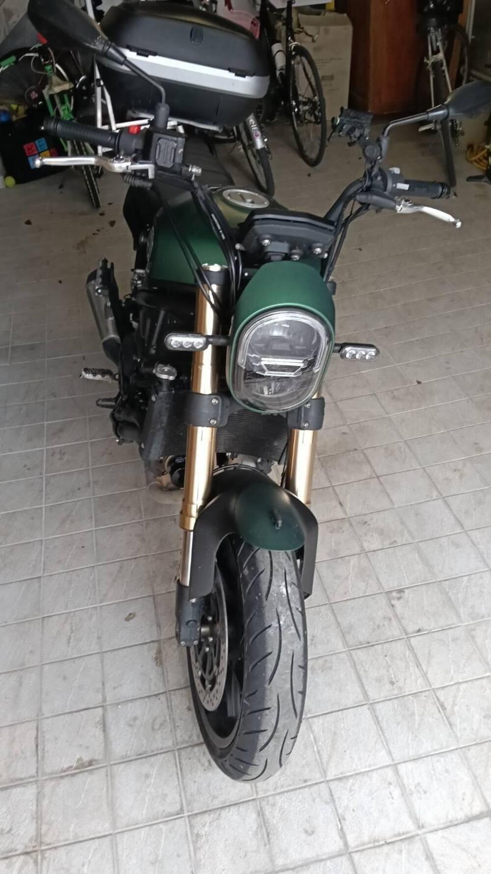 Benelli Leoncino 800 (2022 - 26) (7)