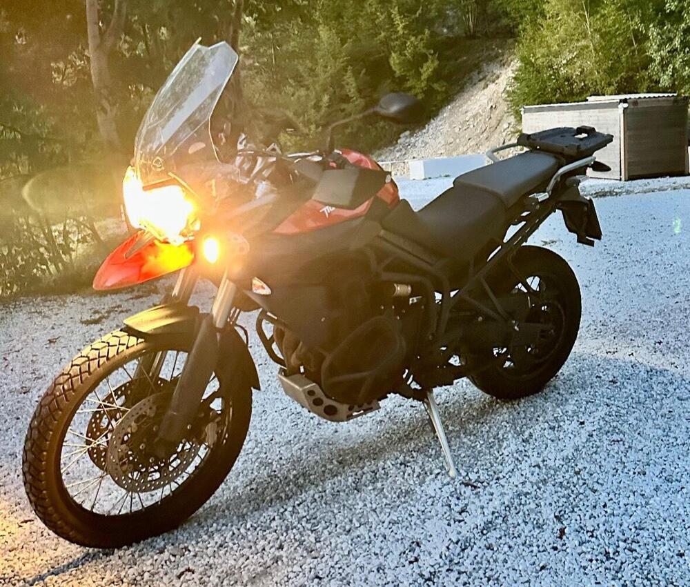 Triumph Tiger 800 XC ABS (2010 - 14) (6)