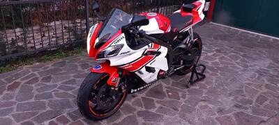 Yamaha YZF R6 (2008 - 09) usata