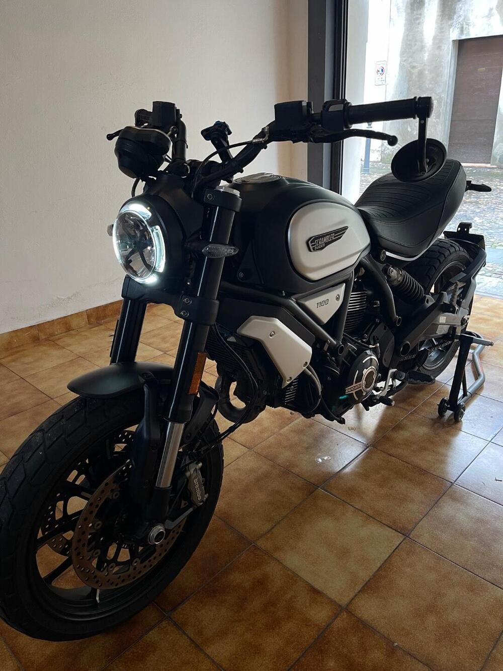 Ducati Scrambler 1100 Dark Pro (2020 - 24) (4)