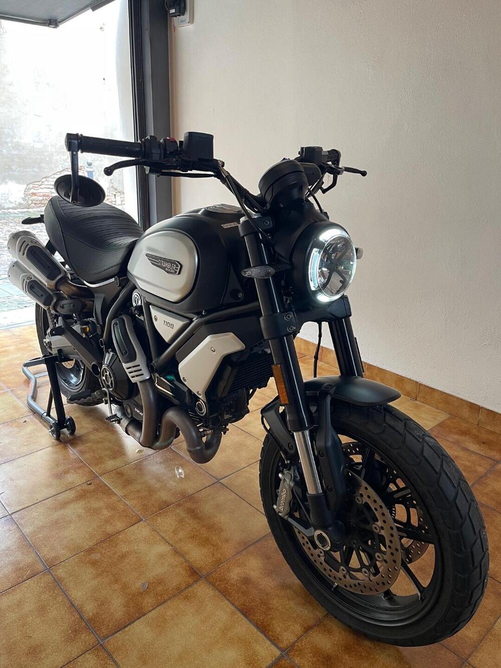 Ducati Scrambler 1100 Dark Pro (2020 - 24) (5)