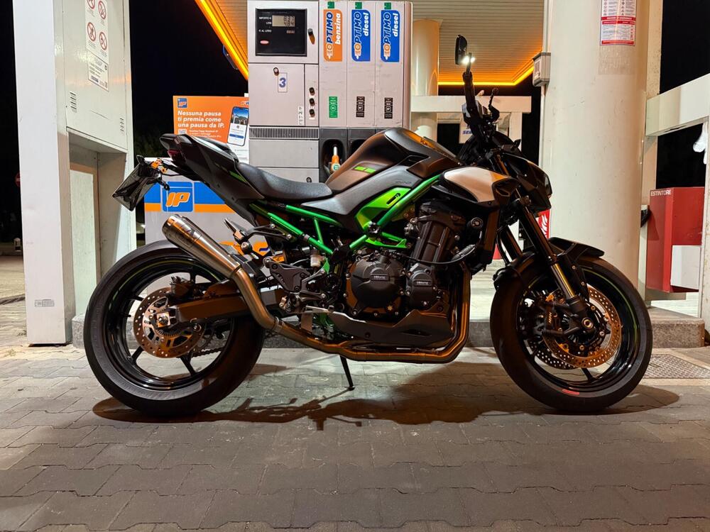 Kawasaki Z 900 (2025 - 26)