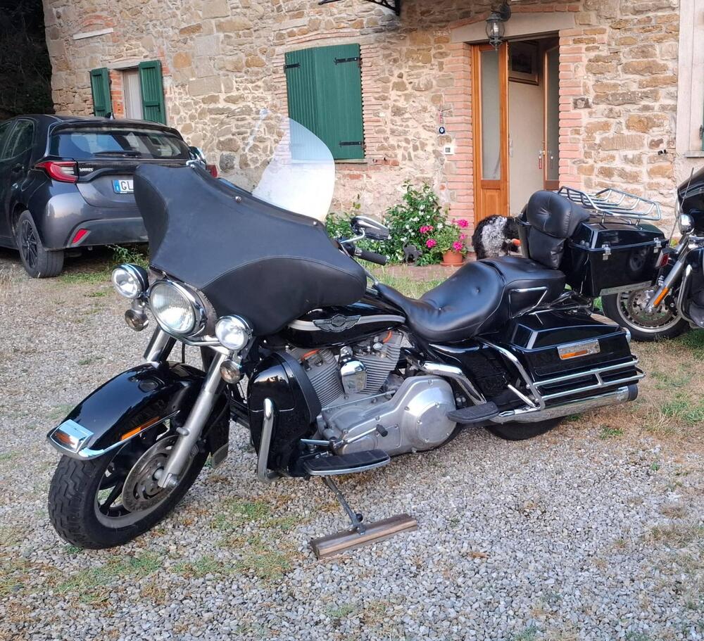 Harley-Davidson 1450 Electra Glide Standard (2001 - 03) - FLHT (8)