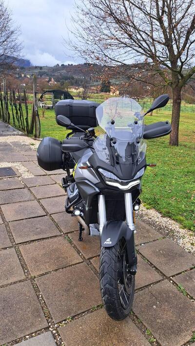 Moto Guzzi Stelvio (2024 - 26) usata