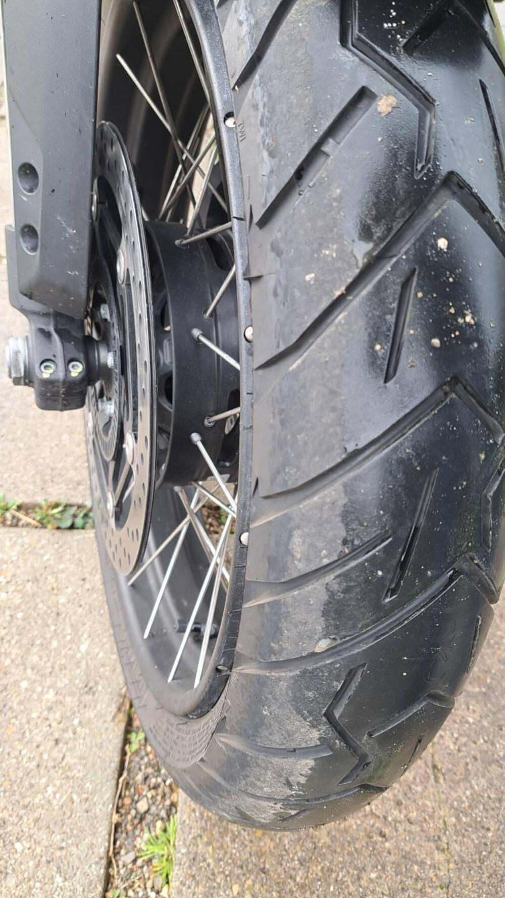 Moto Guzzi Stelvio (2024 - 26) (9)