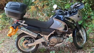 Kawasaki KLE 500 (2001 - 04) usata