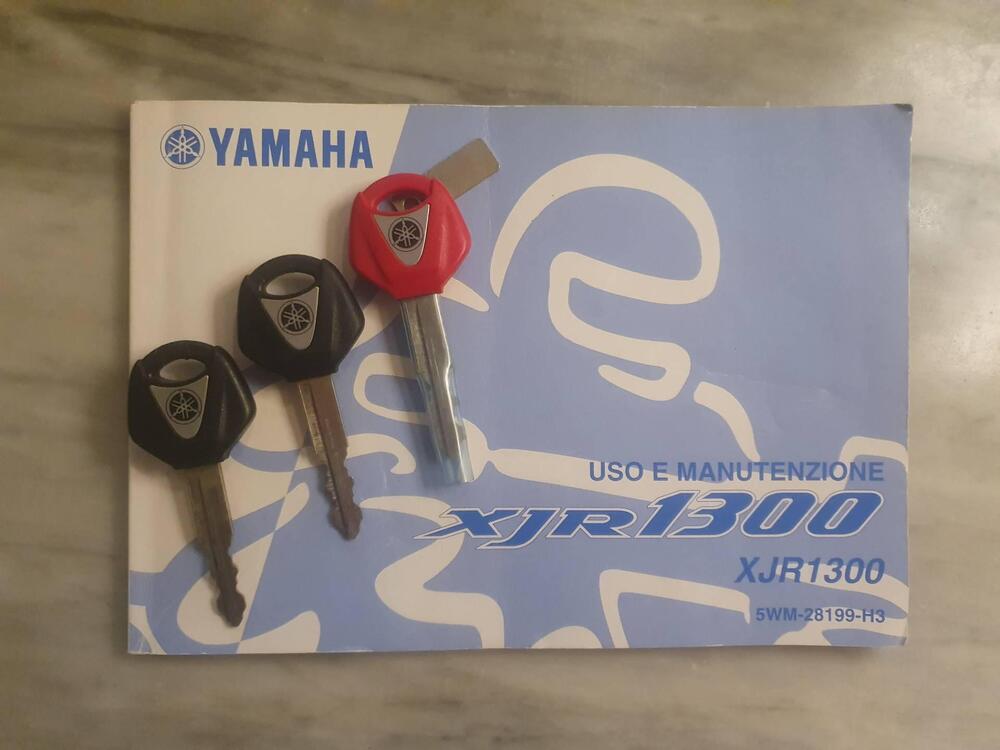 Yamaha XJR 1300 (2002 - 06) (14)