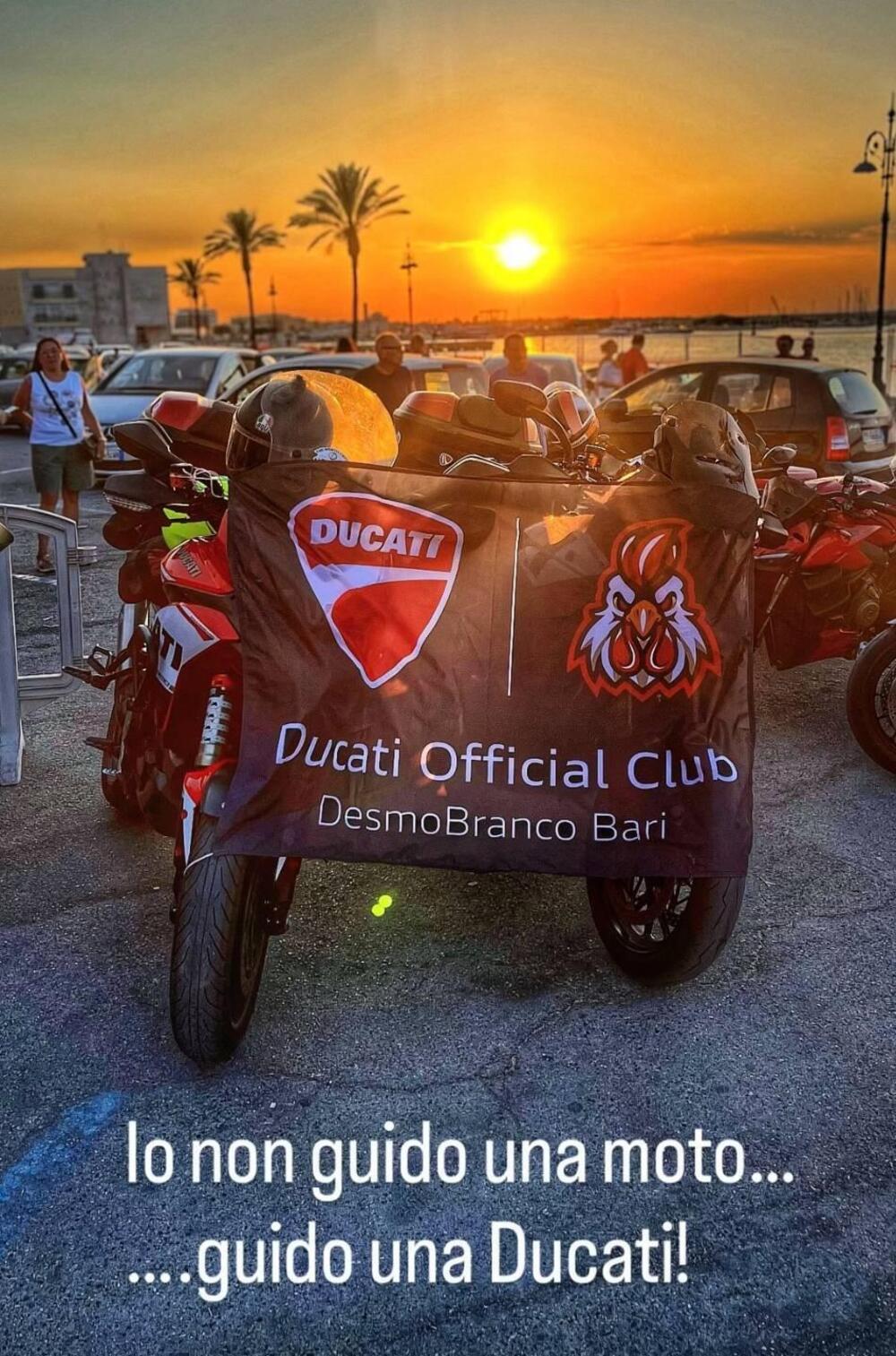 Ducati Multistrada 1260 S D-Air (2018 - 20) (13)