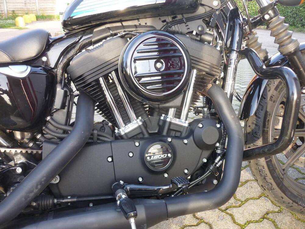 Harley-Davidson 1200 Iron (2018 - 20) - XL1200N (3)