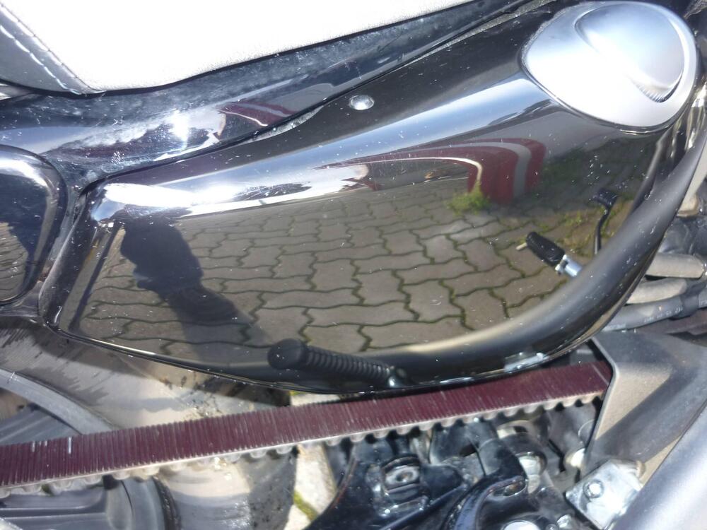 Harley-Davidson 1200 Iron (2018 - 20) - XL1200N (7)